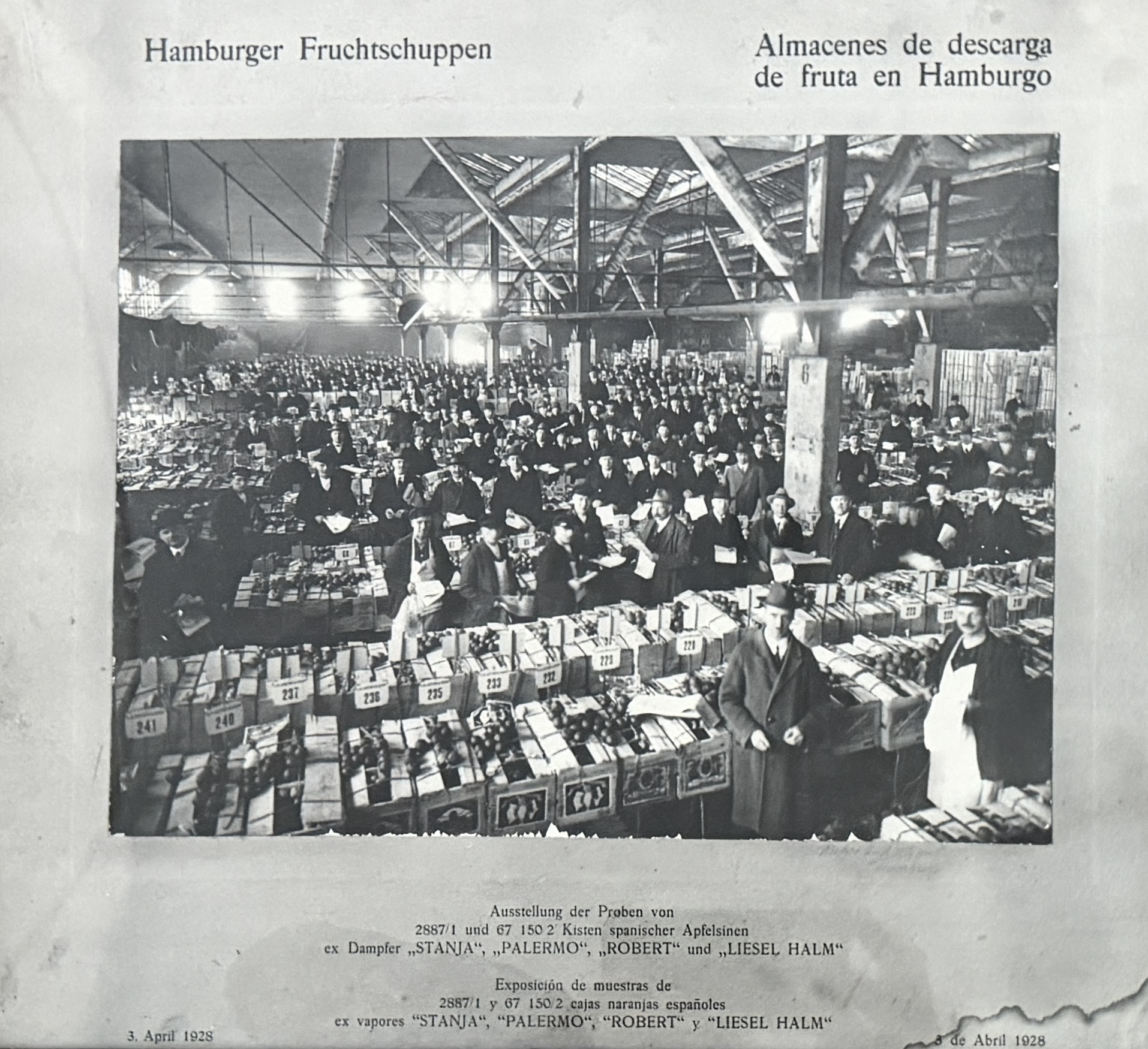 Traders among crates of Spanish oranges inside the Hamburger Fruchtschuppen fruit warehouse in 1928